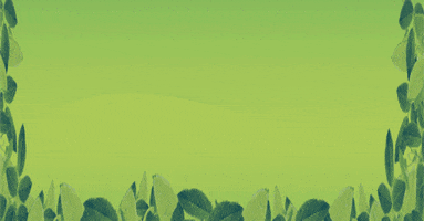 volta imperioseeds GIF