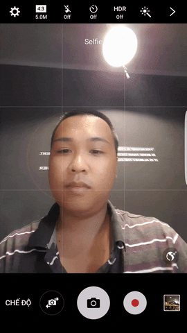 tungha  GIF
