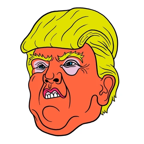 donald trump lol GIF