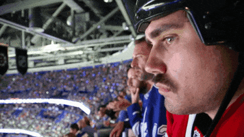 big cat chicago GIF by Barstool Sports