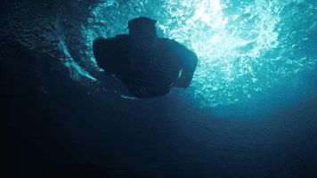 Music Video Swimming GIF by Belly
