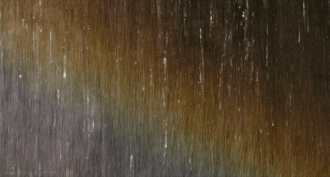 rain GIF