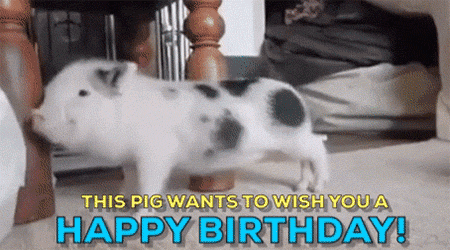 Happy Birthday Gif By Moodman Find Share On Giphy