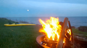 DougAubrey  GIF