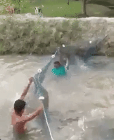 ogirginc security ddos attach GIF