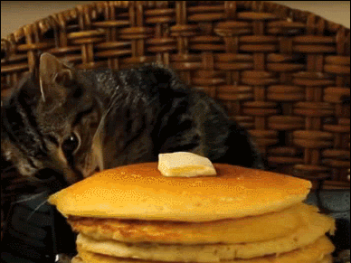 Hungry Pancake Day GIF - Find & Share on GIPHY