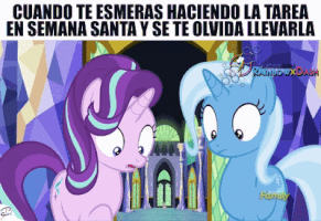 brayant9 meme mylittlepony GIF