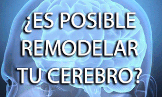 cynmilo ciencia psicologia neurociencias neuroplasticidad GIF