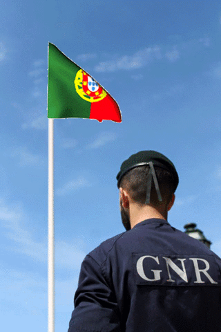 gnr  GIF