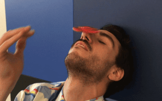 verneelpais spinner GIF