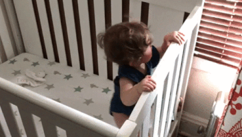 davemosher  GIF