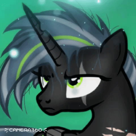 maddox  GIF