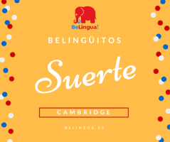pedropluque c1 b1 first certificate belingua GIF