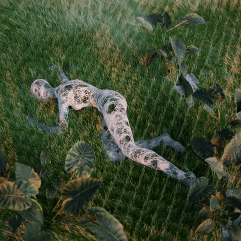 alessiodevecchi animated GIF