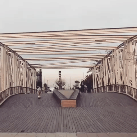 deniseileen longboarding skatergirl deniseileen barcelonaskating GIF
