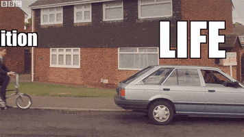 bbc two life GIF by BBC