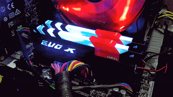 pantips geil evo x rgb GIF