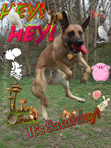 cashvonbadeleben good morning jump hey weekend GIF