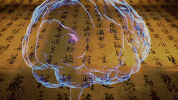 Brain GIF by Intermediair