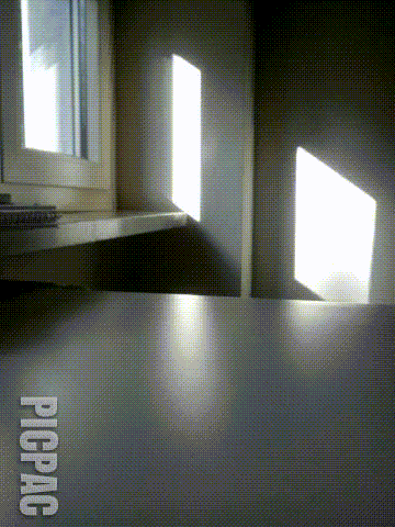 lucapannoli graphic design for box by alessandro pannoli (12anni) GIF