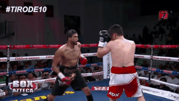 antoniogj92gmailcom box box azteca GIF