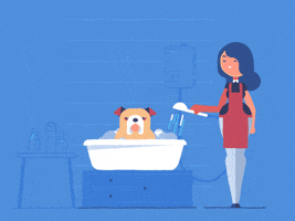 Happy Dog GIF by Anchor Point