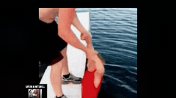 cesarruiz  GIF