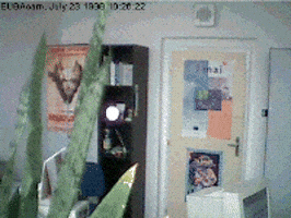 POHEV 1999 euba supsup 26.07 GIF