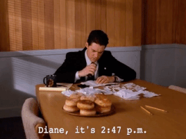 season 2 diane GIF by Twin Peaks on Showtime