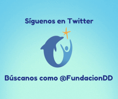 niÃ±os GIF by Dolphin Discovery