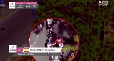 danielfmcmahongmailcom  GIF