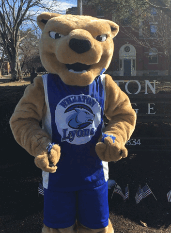 Celebration Mascot GIF by Wheaton College (MA)