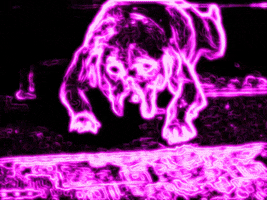 200.gif?cid=fc005b08438a35626b4be12035a22c959fffee79447b29db&rid=200.gif&ct=g