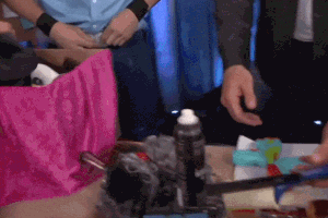 matthewpack  GIF