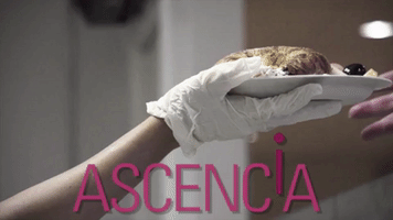 Charity Homelessness GIF by Ascencia