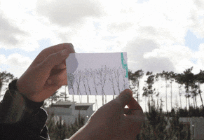 binatangerina animation illustration draw stopmotion GIF