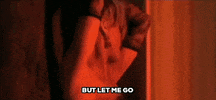 but let me go te amo music video GIF by Rihanna