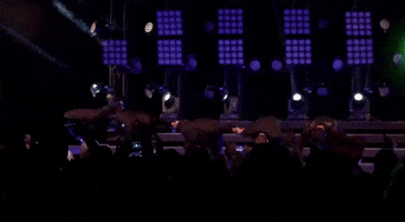 new kids on the block bow GIF