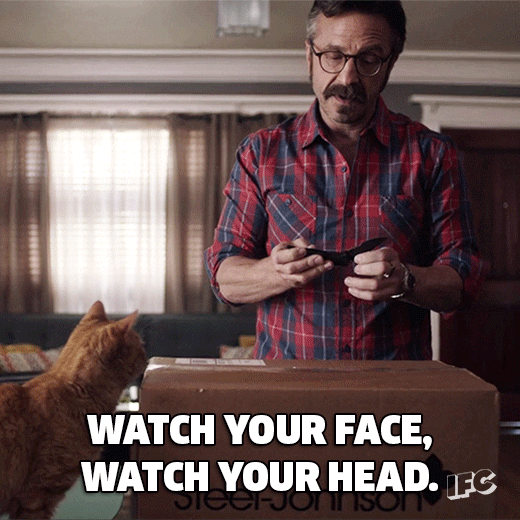 marc maron cats GIF by IFC