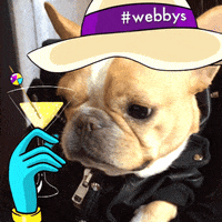 french bulldog cocktails GIF by The Webby Awards