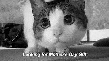 mother's day cat GIF by Product Hunt