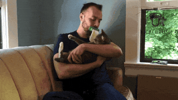 cat licki brush GIF by Product Hunt