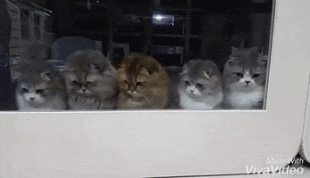 yupgr3dgemvrdxdr  GIF