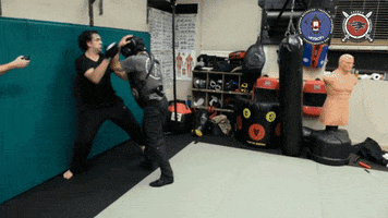 izvor-volk martial arts take down systema head thread GIF