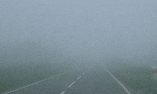 Fog GIF - Find & Share on GIPHY