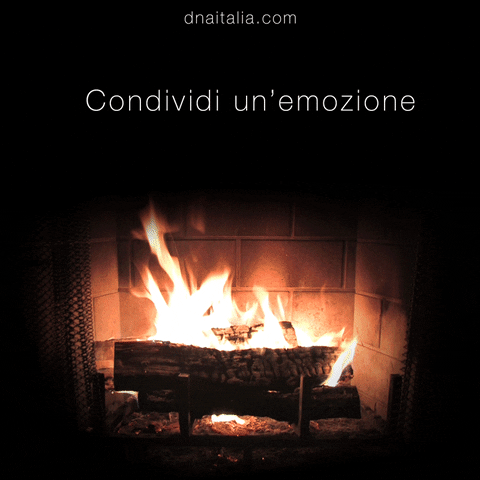 dnaitalia cinemagraph adv GIF