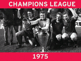 champions league titles GIF by FC Bayern Munich