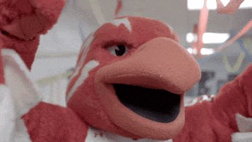 st johns big east mascots GIF by BIG EAST Conference