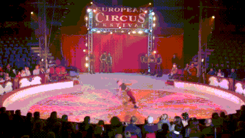 cartel circus jumps acrobat acrobats GIF