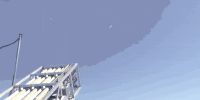 alexanderlockie  GIF